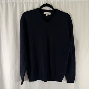 Turnbury Extra Fine Merino Wool Sweater Men's Small Blue V-Neck Knit Long Slv